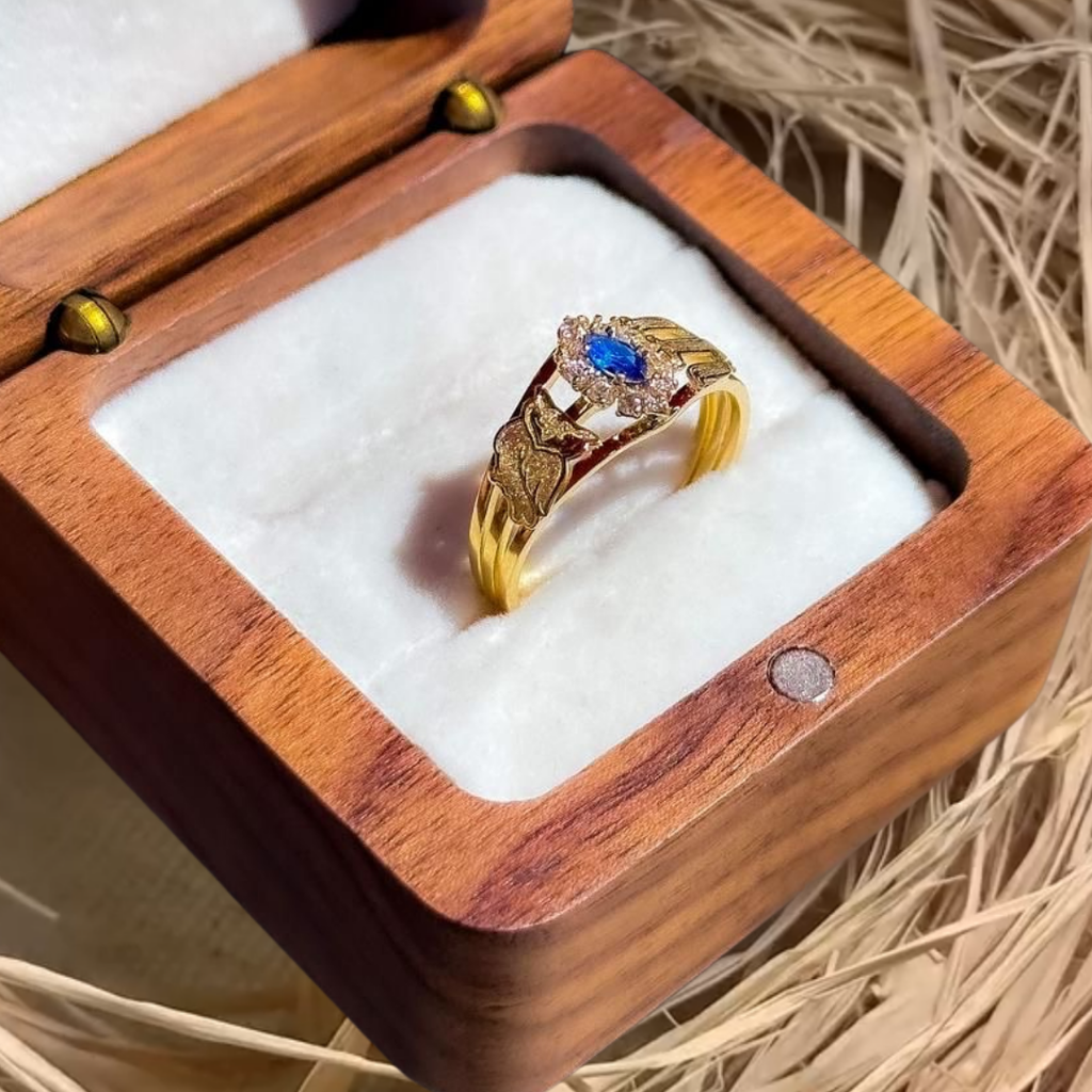 Anel formatura pedagogia ouro 18k