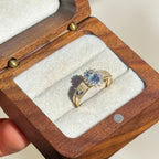 Anel de formatura biologia ouro 18k